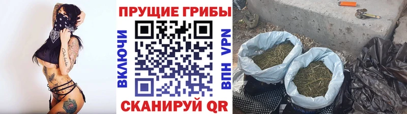 Галлюциногенные грибы прущие грибы  Купить  Городец 